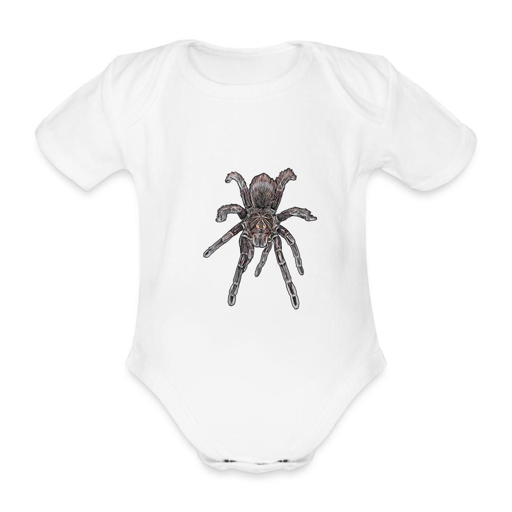 Baby Body kurz Pamphobeteus sp Machala juvenile - weiß