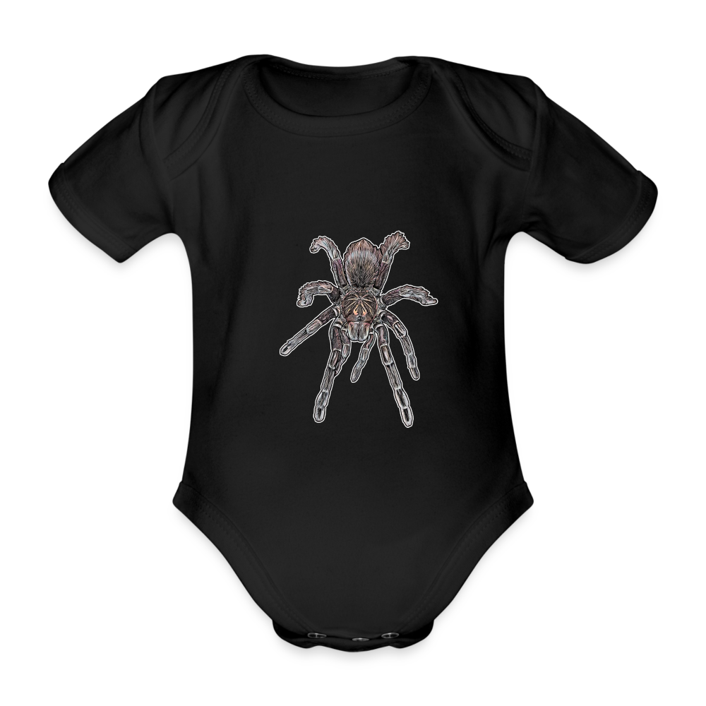 Baby Body kurz Pamphobeteus sp Machala juvenile - Schwarz