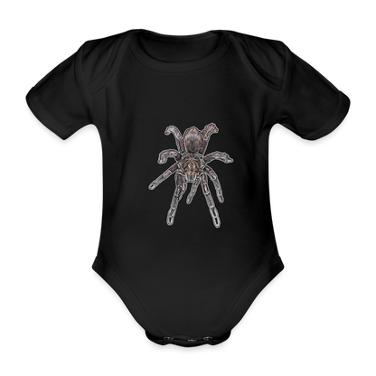 Baby Body kurz Pamphobeteus sp Machala juvenile - Schwarz