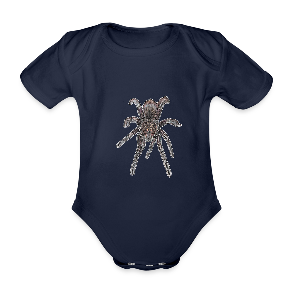 Baby Body kurz Pamphobeteus sp Machala juvenile - Dunkelnavy