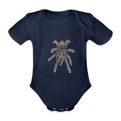 Baby Body kurz Pamphobeteus sp Machala juvenile - Dunkelnavy