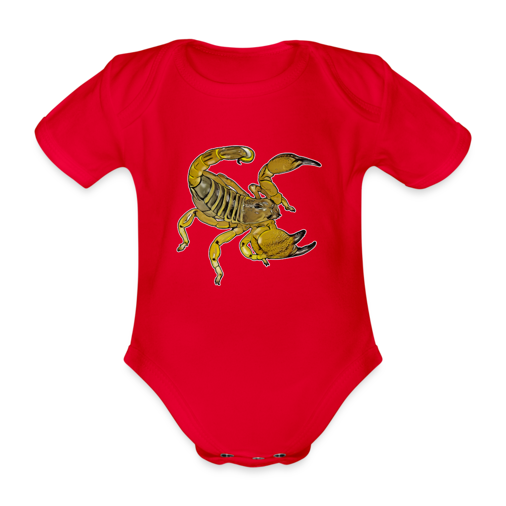 Baby Body kurz Scorpio maurus palmatus - Rot