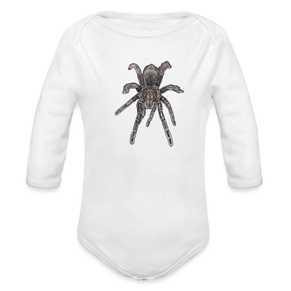 Baby Body lang Pamphobeteus sp Machala juvenile - weiß