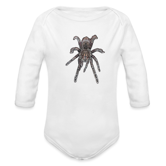 Baby Body lang Pamphobeteus sp Machala juvenile - weiß