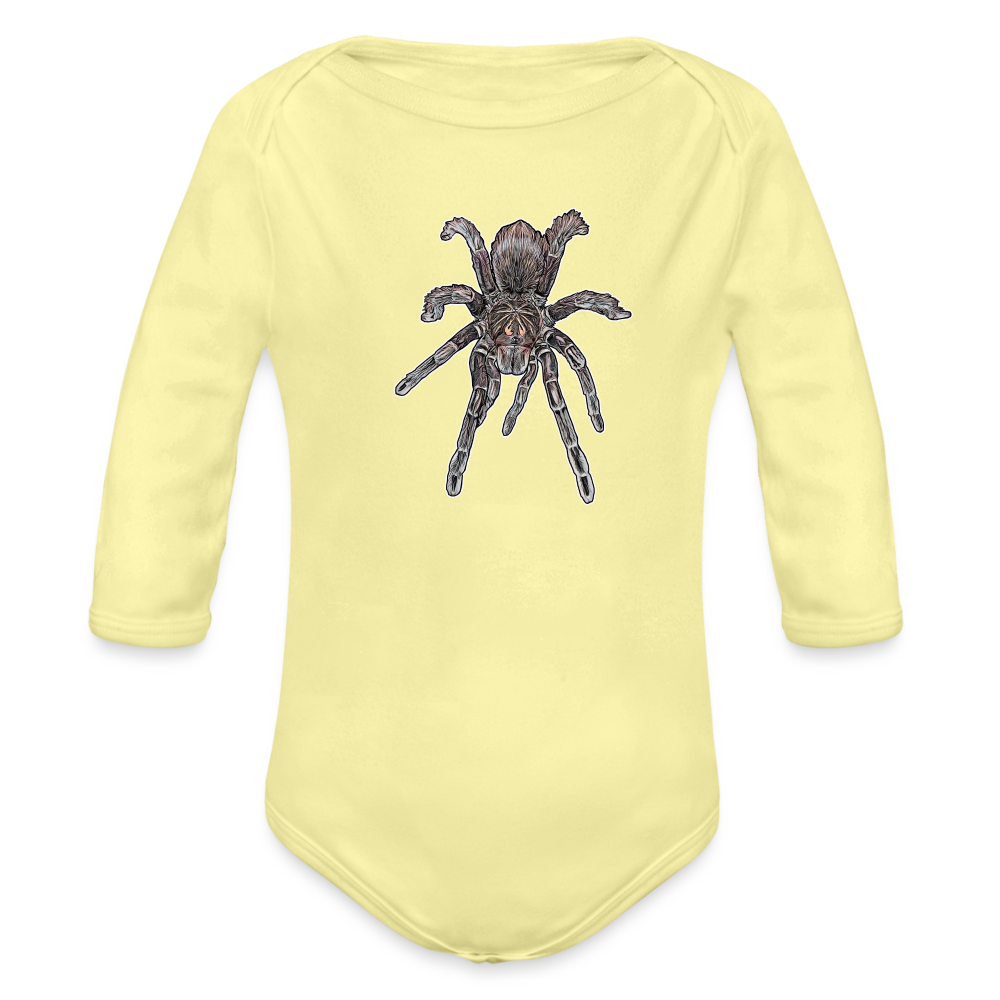 Baby Body lang Pamphobeteus sp Machala juvenile - Hellgelb