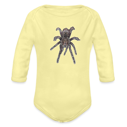 Baby Body lang Pamphobeteus sp Machala juvenile - Hellgelb