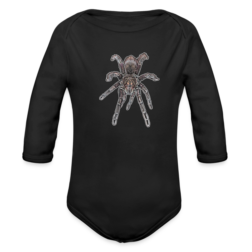 Baby Body lang Pamphobeteus sp Machala juvenile - Schwarz