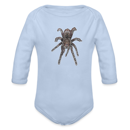 Baby Body lang Pamphobeteus sp Machala juvenile - Sky