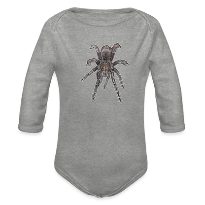 Baby Body lang Pamphobeteus sp Machala juvenile - Grau meliert