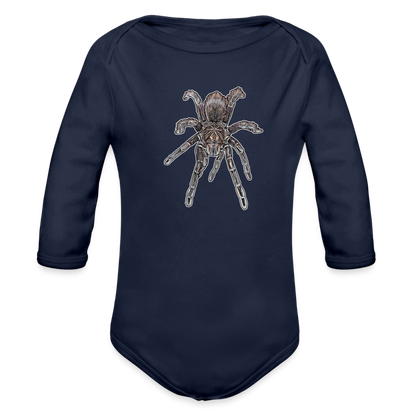 Baby Body lang Pamphobeteus sp Machala juvenile - Dunkelnavy