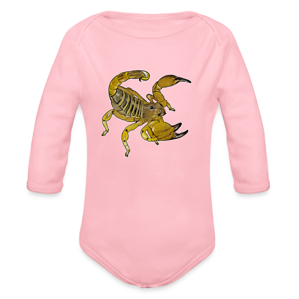 Baby Body lang Scorpio maurus palmatus - Hellrosa