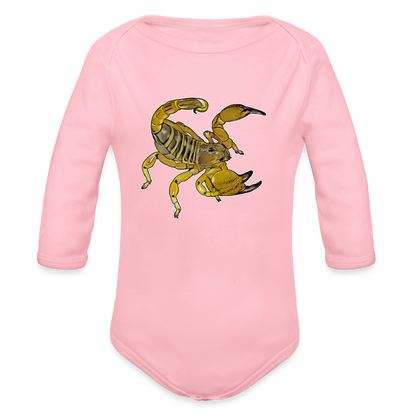 Baby Body lang Scorpio maurus palmatus - Hellrosa