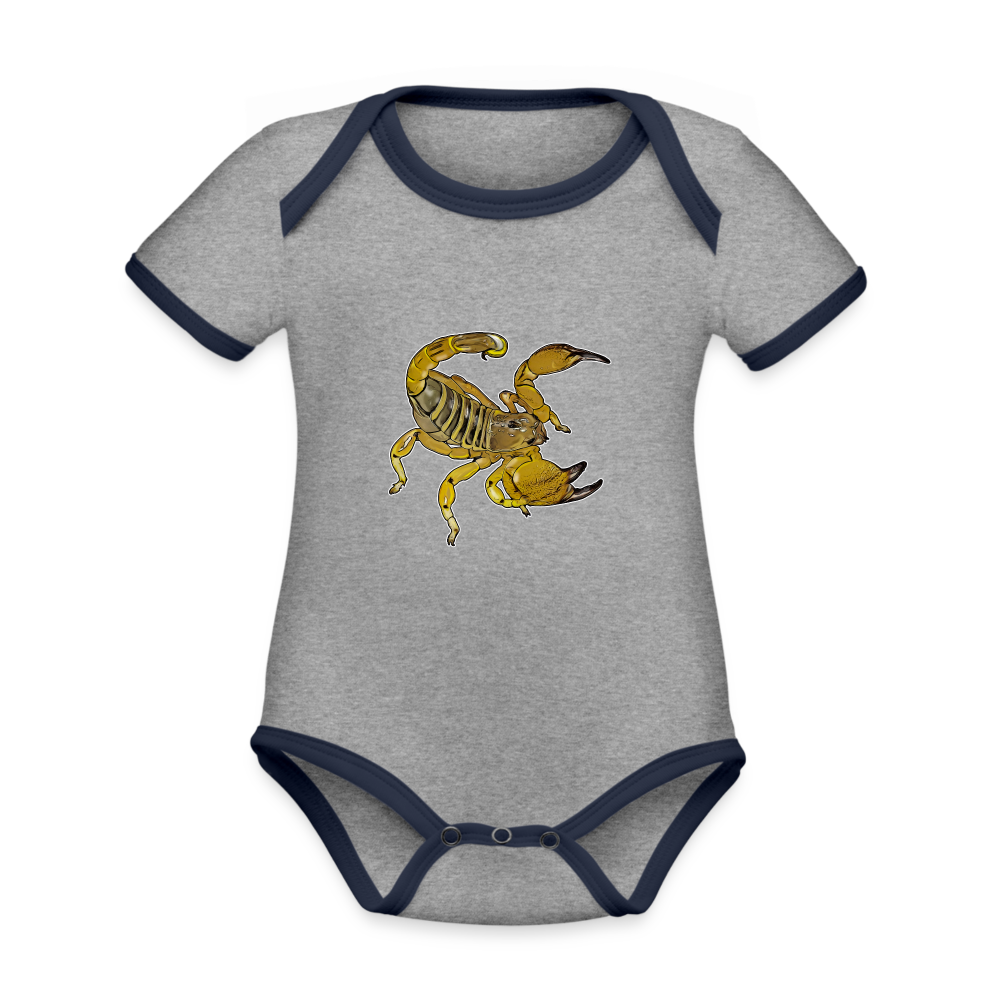 Baby Kontrastbody kurz Scorpio maurus palmatus - Grau meliert/Navy