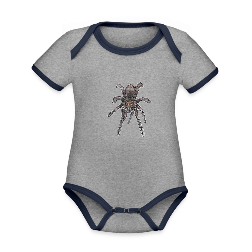 Baby Kontrastbody kurz Pamphobeteus sp Machala juvenile - Grau meliert/Navy