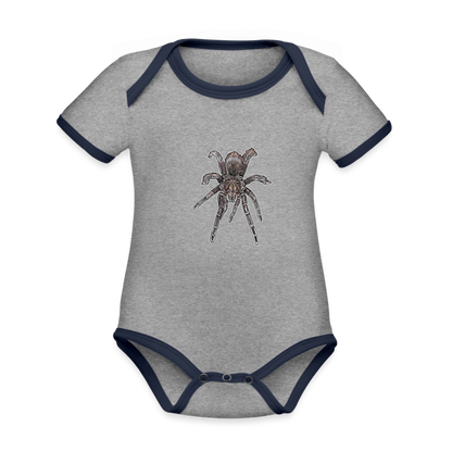 Baby Kontrastbody kurz Pamphobeteus sp Machala juvenile - Grau meliert/Navy