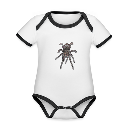 Baby Kontrastbody kurz Pamphobeteus sp Machala juvenile - Weiß/Schwarz