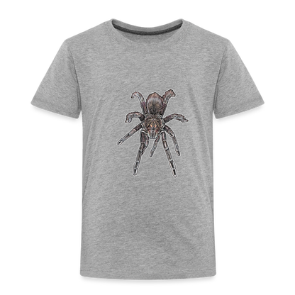 Kinder Basic T-Shirt Pamphobeteus sp Machala juvenile - Grau meliert