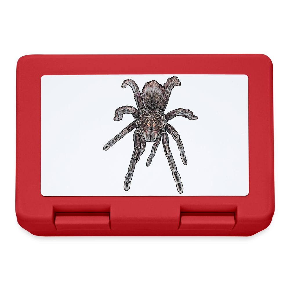 Lunchbox Pamphobeteus sp Machala juvenile - Rot