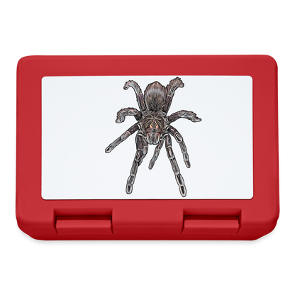 Lunchbox Pamphobeteus sp Machala juvenile - Rot