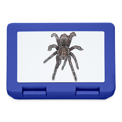 Lunchbox Pamphobeteus sp Machala juvenile - Royalblau