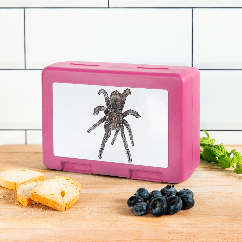 Lunchbox Pamphobeteus sp Machala juvenile - Pink