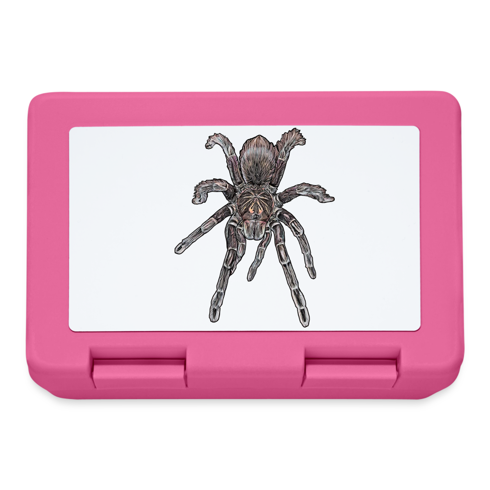 Lunchbox Pamphobeteus sp Machala juvenile - Pink