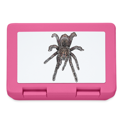 Lunchbox Pamphobeteus sp Machala juvenile - Pink