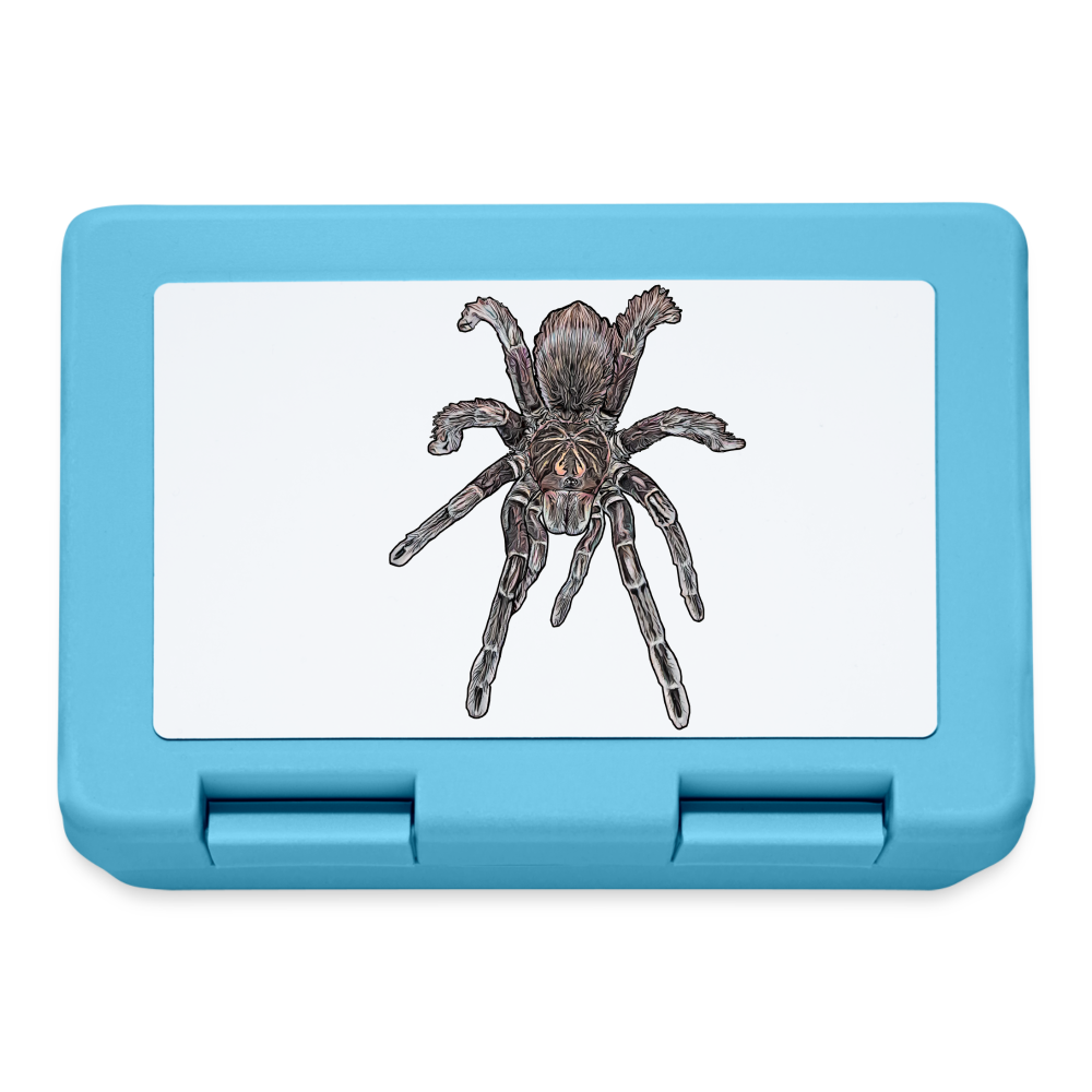 Lunchbox Pamphobeteus sp Machala juvenile - Saphirblau