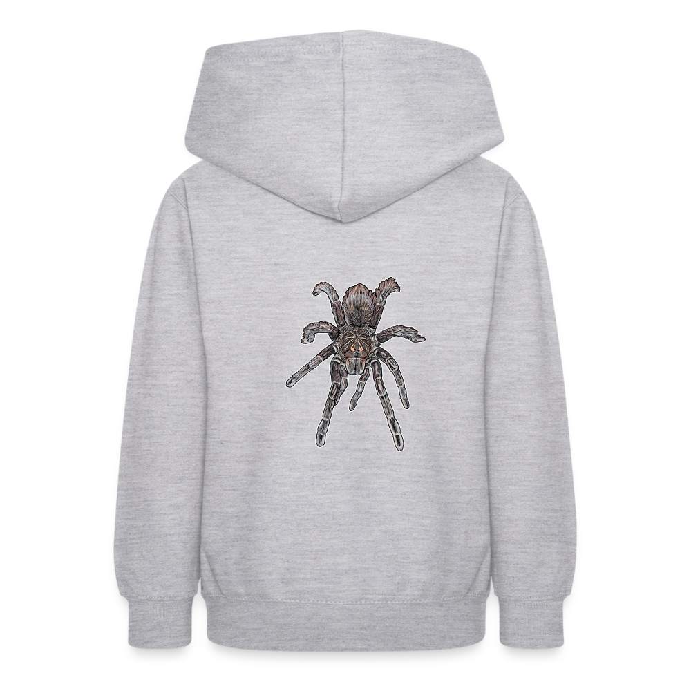 Teenager Hoodie Pamphobeteus sp Machala juvenile - Hellgrau meliert