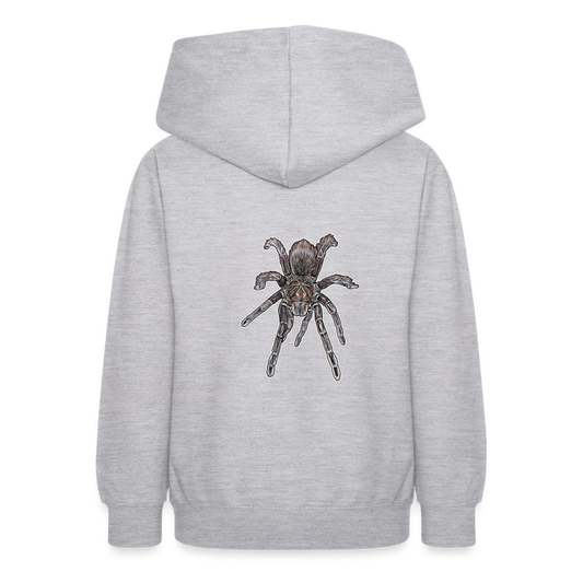 Teenager Hoodie Pamphobeteus sp Machala juvenile - Hellgrau meliert