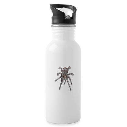 Trinkflasche Pamphobeteus sp Machala juvenile - weiß