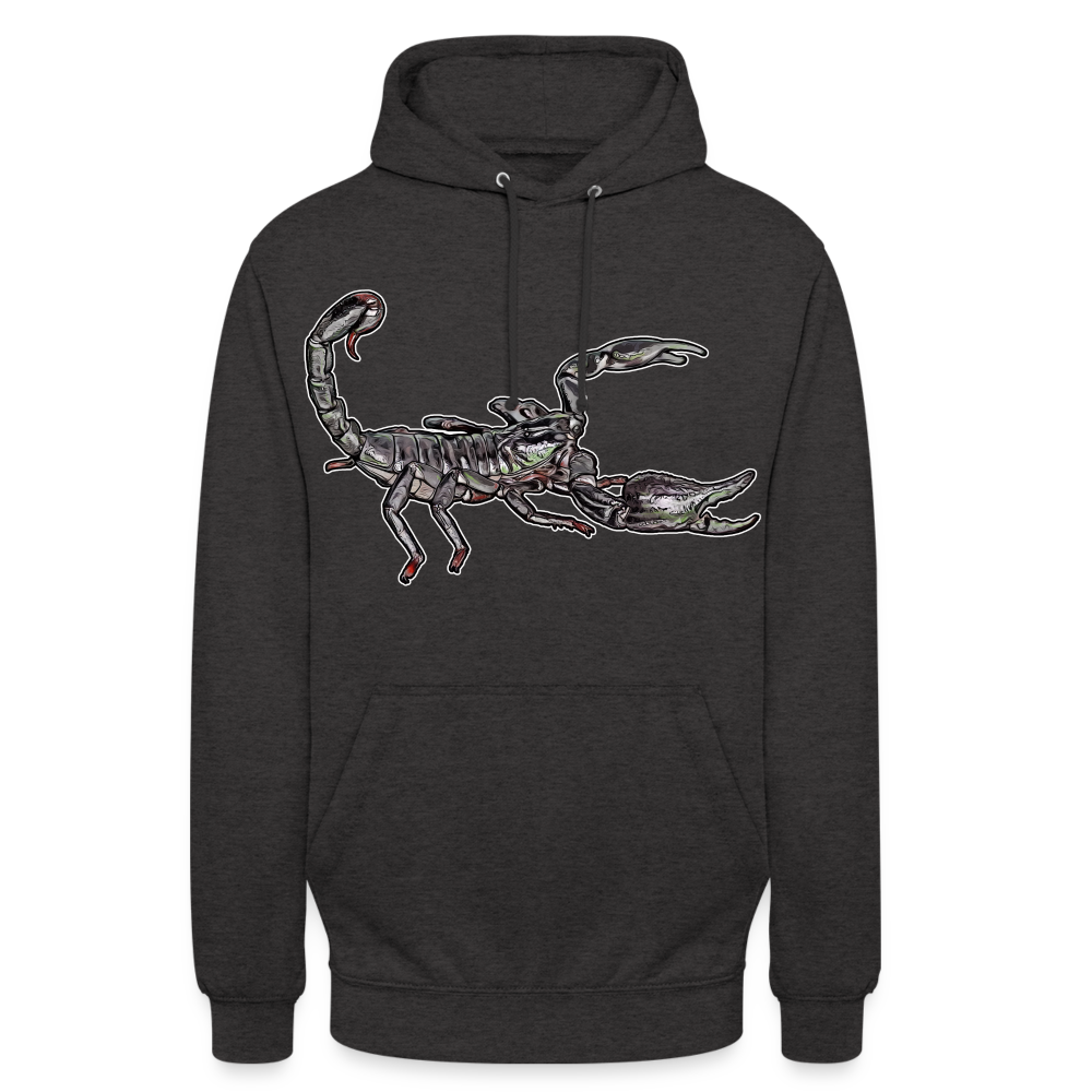 Unisex Hoodie Heterometrus silenus - Anthrazit
