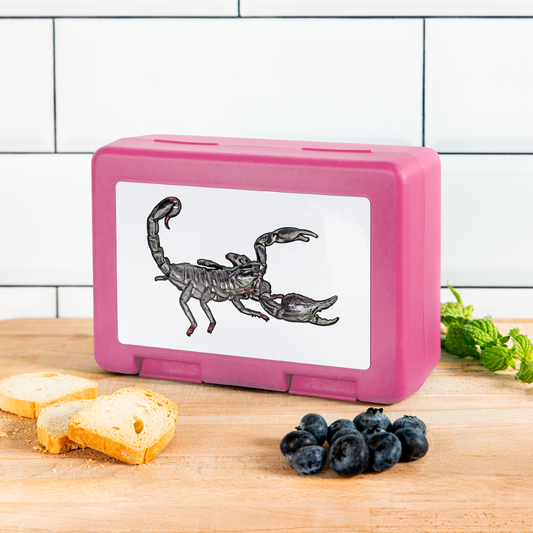 Lunchbox Heterometrus silenus - Pink