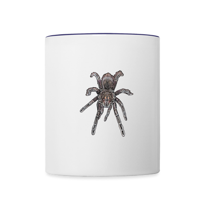 Tasse farbig Pamphobeteus sp Machala juvenile - Weiß/Kobaltblau