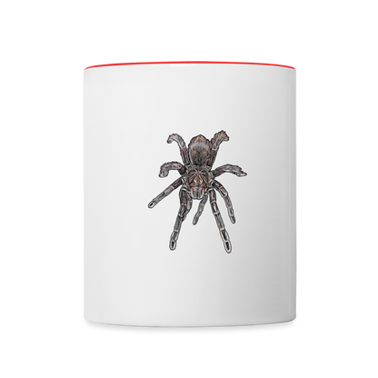 Tasse farbig Pamphobeteus sp Machala juvenile - Weiß/Rot