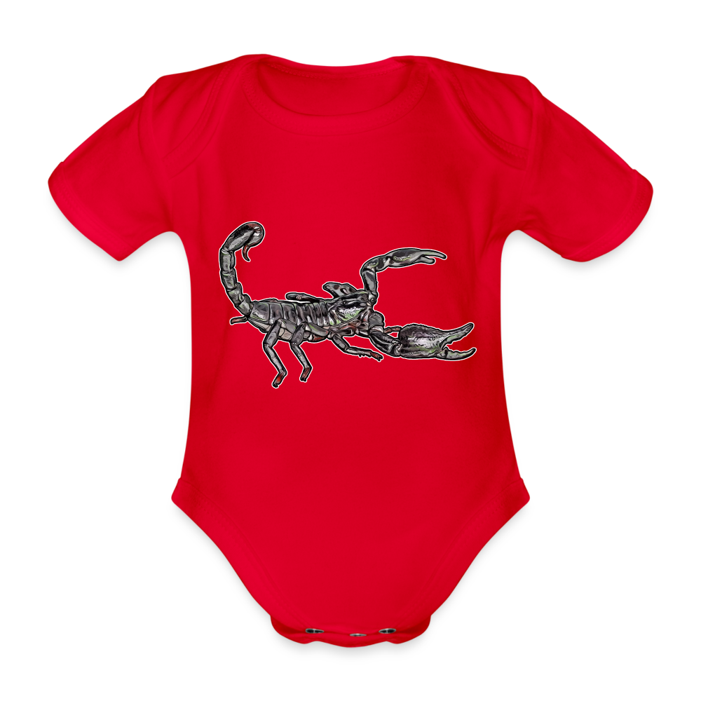 Baby Body kurz Heterometrus silenus - Rot