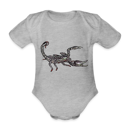 Baby Body kurz Heterometrus silenus - Grau meliert