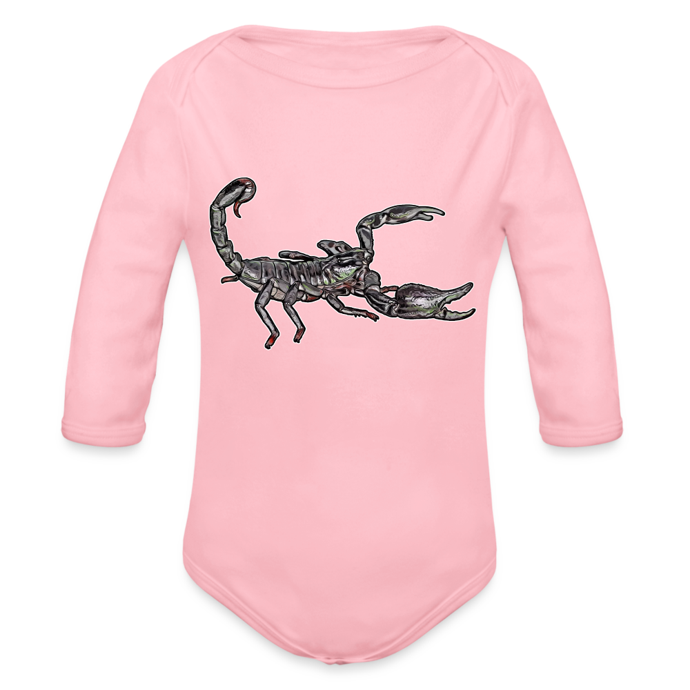 Baby Body lang Heterometrus silenus - Hellrosa
