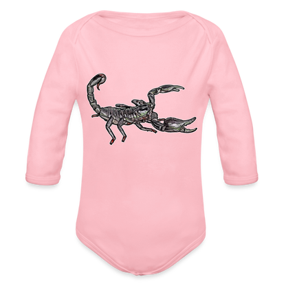 Baby Body lang Heterometrus silenus - Hellrosa