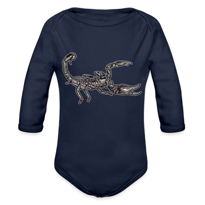 Baby Body lang Heterometrus silenus - Dunkelnavy