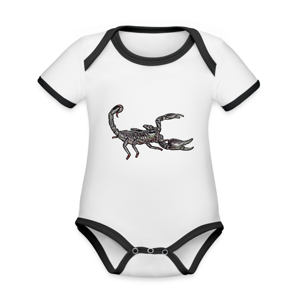 Baby Kontrastbody kurz Heterometrus silenus - Weiß/Schwarz