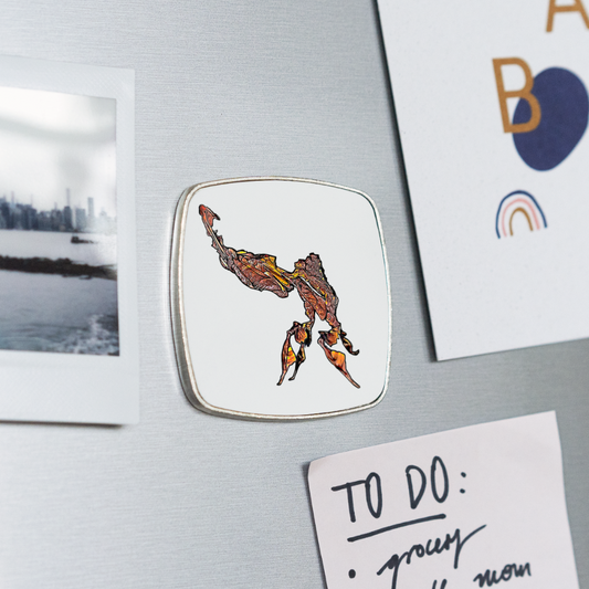 Kühlschrankmagnet eckig Phyllocrania paradoxa male - weiß