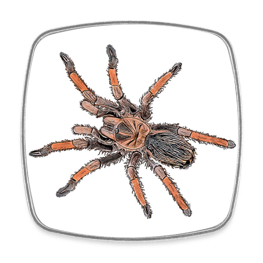 Kühlschrankmagnet eckig Brachypelma emilia - weiß