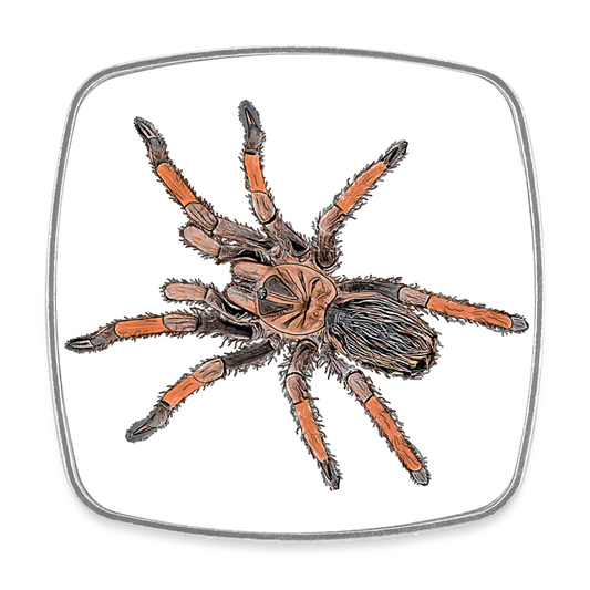 Kühlschrankmagnet eckig Brachypelma emilia - weiß