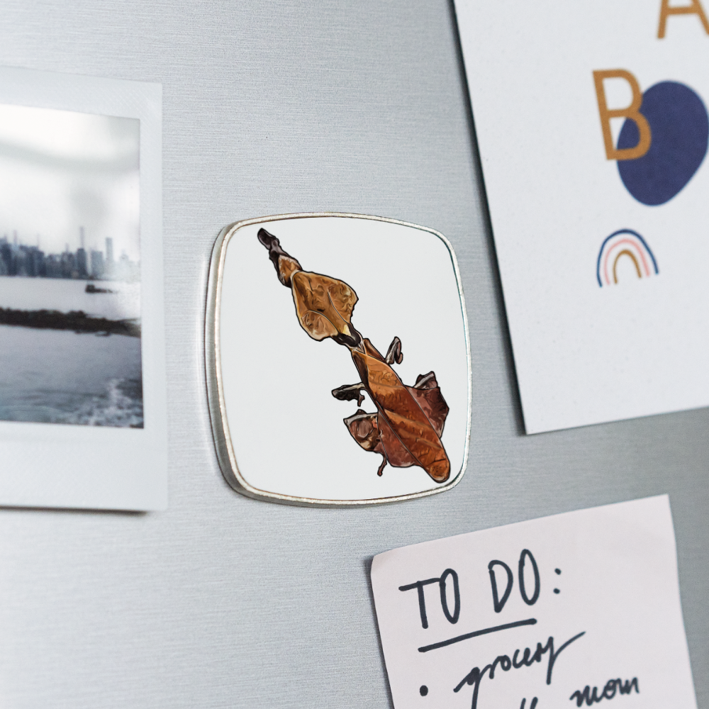 Kühlschrankmagnet eckig Phyllocrania paradoxa female - weiß