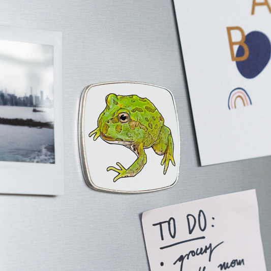 Kühlschrankmagnet eckig Ceratophrys cranwelli Peppermint Blue - weiß