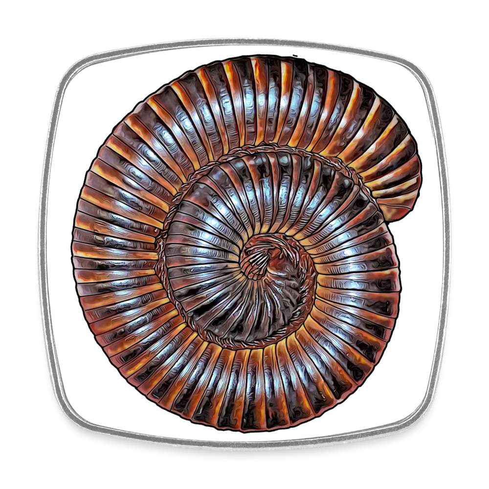 Kühlschrankmagnet eckig Archispirostreptus gigas - weiß