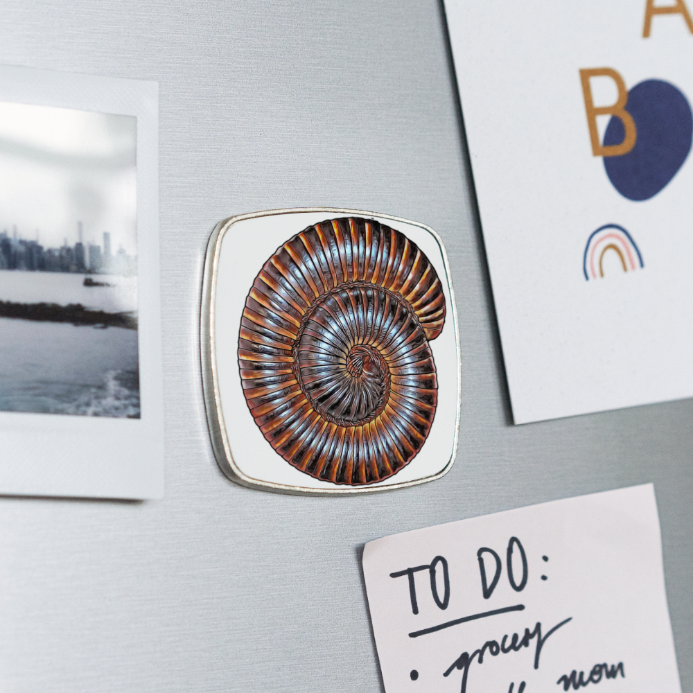 Kühlschrankmagnet eckig Archispirostreptus gigas - weiß