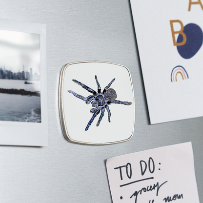 Kühlschrankmagnet eckig Pterinopelma sazimai - weiß