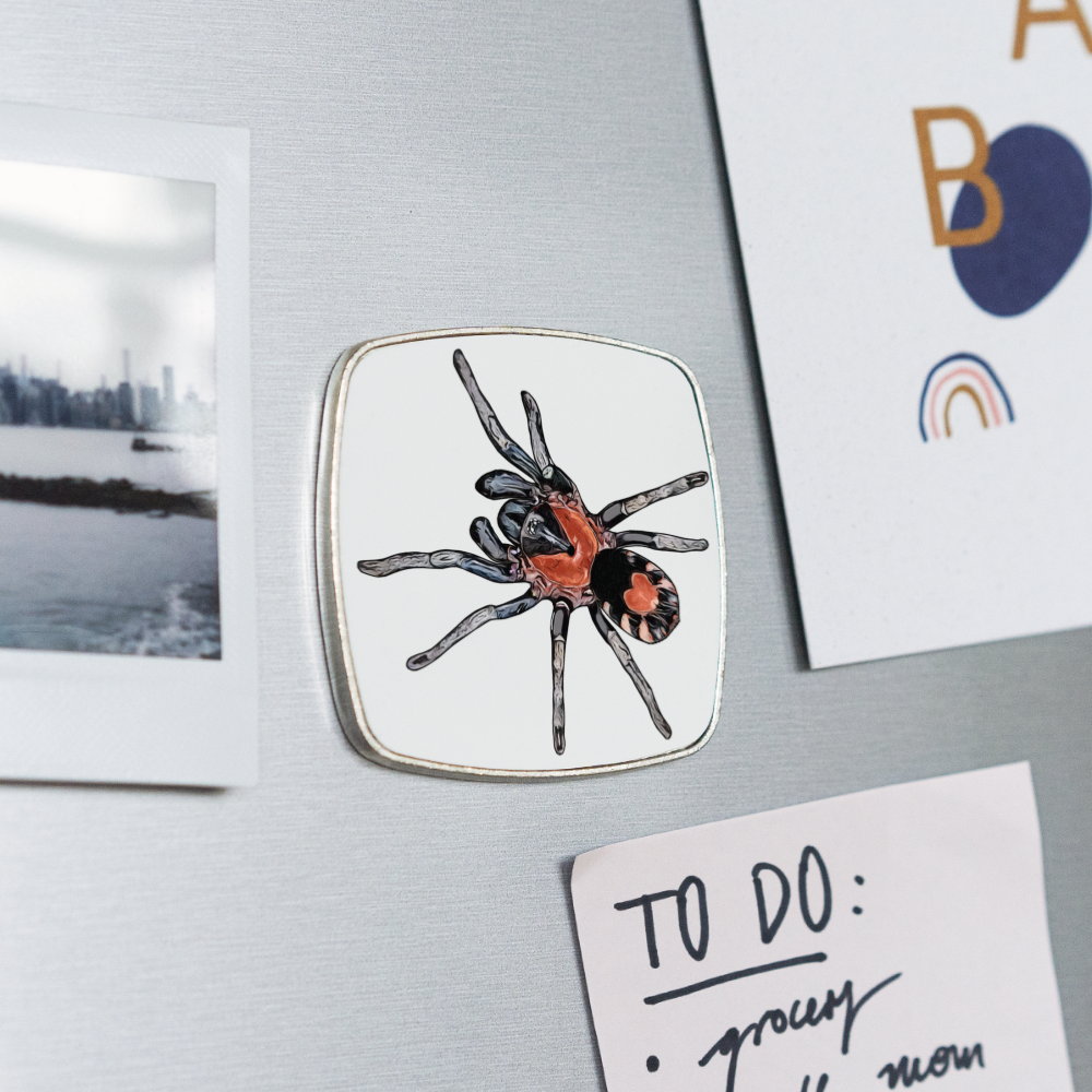 Kühlschrankmagnet eckig Cyriocosmus elegans - weiß